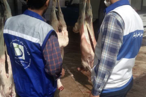 ❇️❇️نظارت بهداشتی بر مراکز ذبح دام به مناسبت روز عید سعید قربان