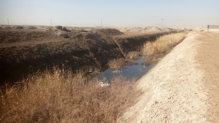 بررسی وضعیت پساب کشتارگاه   