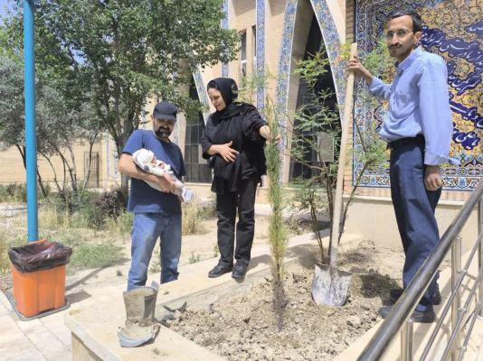 کاشت نهال به دست مادر دارای سه فرزند به مناسبت هفته ملی جمعیت در مرکز خدمات جامع سلامت حضرت علی( ع)    