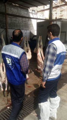 ❇️❇️نظارت بهداشتی بر مراکز ذبح دام به مناسبت روز عید سعید قربان