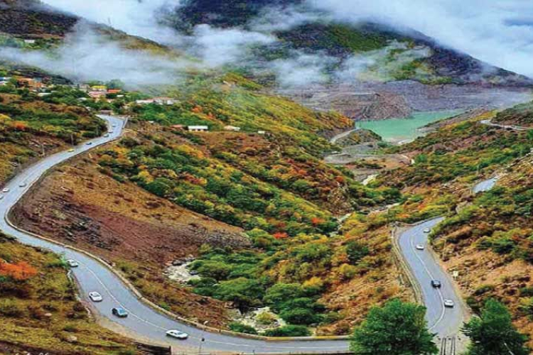 مدیریت امور رفاهی دانشگاه
