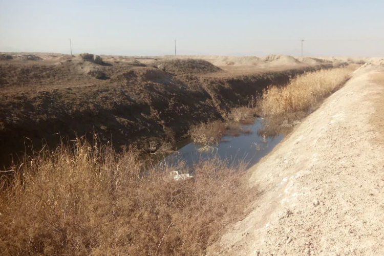 بررسی وضعیت پساب کشتارگاه   