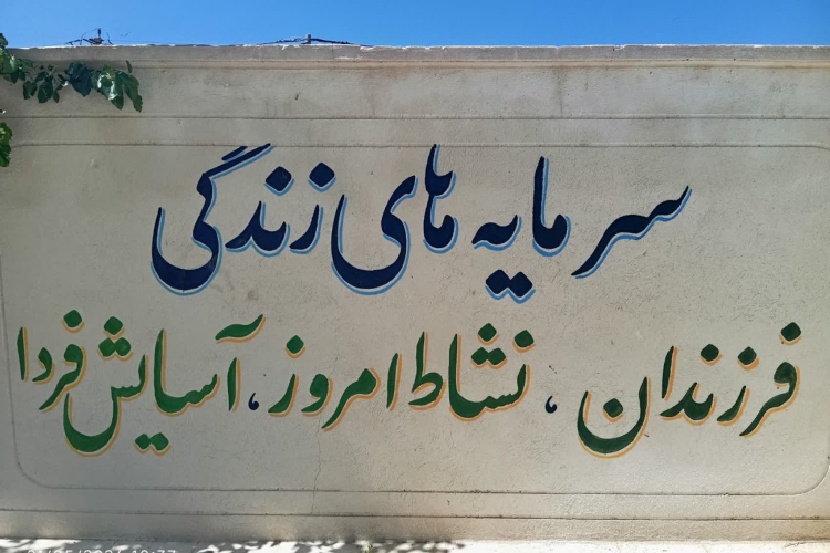 دیوار نویسی  و کاشت نهال  خانه بهداشت بهاران