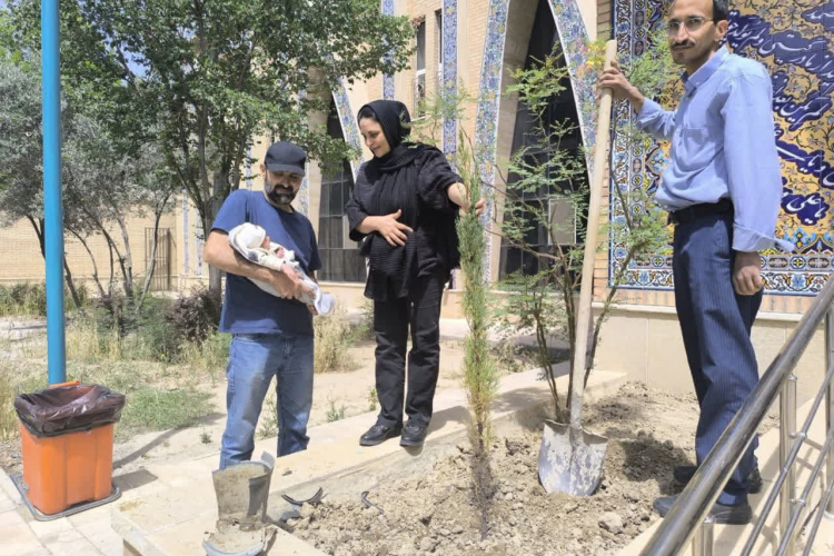 کاشت نهال به دست مادر دارای سه فرزند به مناسبت هفته ملی جمعیت در مرکز خدمات جامع سلامت حضرت علی( ع)    